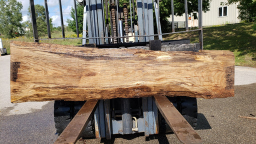 Red Oak #8019(LA) - 2-1/2" x 12" to 25" x 91" FREE SHIPPING within the Contiguous US. freeshipping - Big Wood Slabs