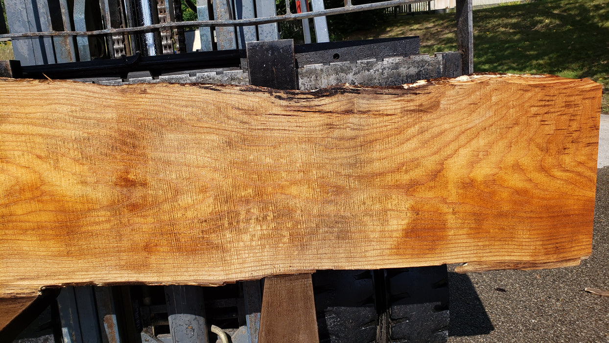 Red Oak #8019(LA) - 2-1/2" x 12" to 25" x 91" FREE SHIPPING within the Contiguous US. freeshipping - Big Wood Slabs