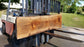 Red Oak #8020(LA) - 2-1/2" x 13" to 24" x 88" FREE SHIPPING within the Contiguous US. freeshipping - Big Wood Slabs