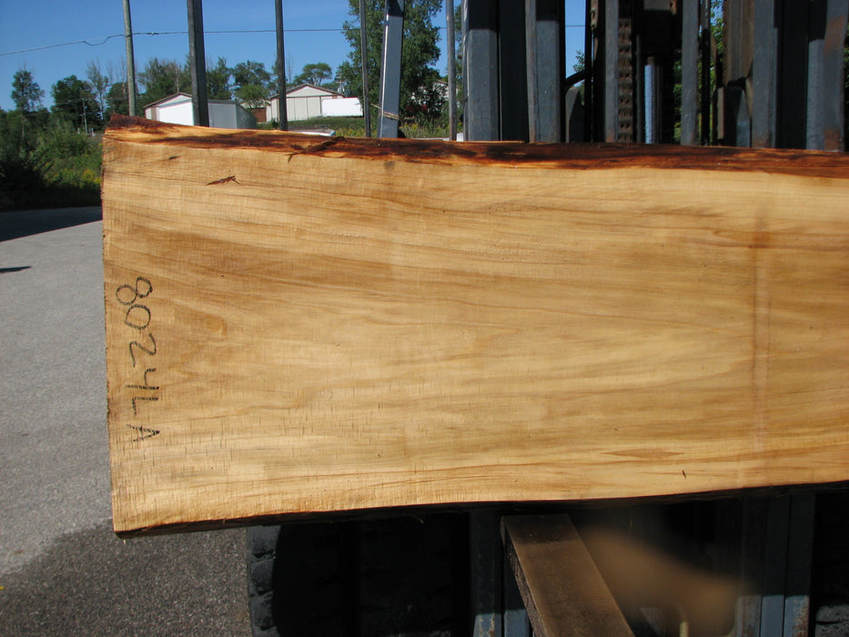 Cottonwood #8024(LA) - 2-1/4" x 20" to 28" x 96" FREE SHIPPING within the Contiguous US. freeshipping - Big Wood Slabs