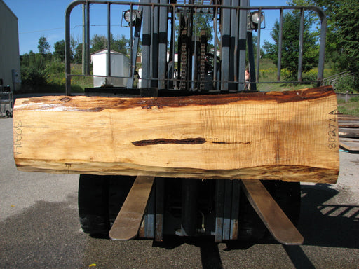 Cottonwood #8027(LA) - 2-1/4" to 2-1/2" x 13" to 20" x 88" FREE SHIPPING within the Contiguous US. freeshipping - Big Wood Slabs