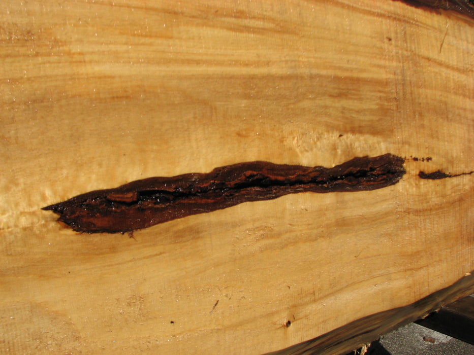 Cottonwood #8027(LA) - 2-1/4" to 2-1/2" x 13" to 20" x 88" FREE SHIPPING within the Contiguous US. freeshipping - Big Wood Slabs