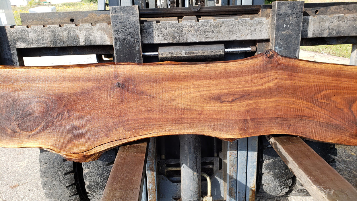 Walnut, American #8034 (LA) - 1-1/2" x 10" to 18" x 127" - FREE SHIPPING within the Contiguous US. freeshipping - Big Wood Slabs
