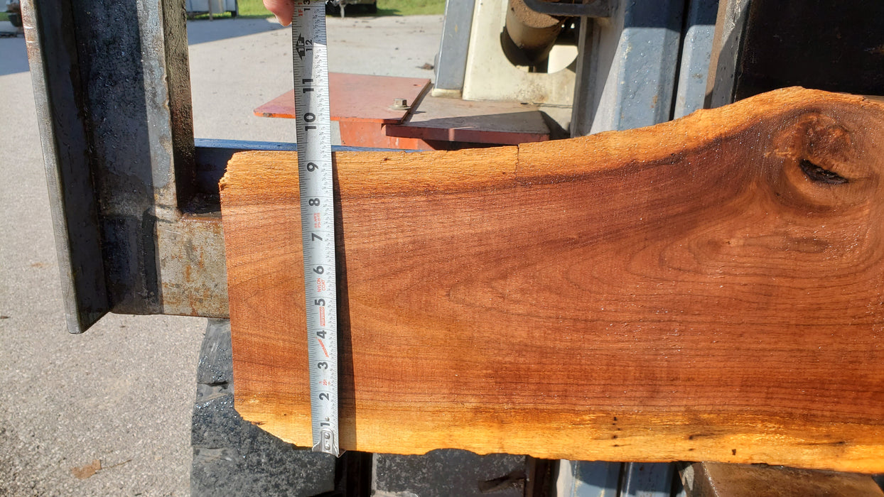 Walnut, American #8039 (LA) - 2-1/4" x 6" to 11" x 53" - FREE SHIPPING within the Contiguous US. freeshipping - Big Wood Slabs