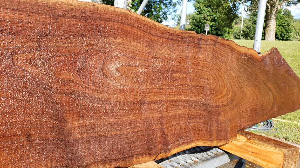 Walnut, American #8041 (LA) - 1-1/2" x 10" x 60" - FREE SHIPPING within the Contiguous US. freeshipping - Big Wood Slabs