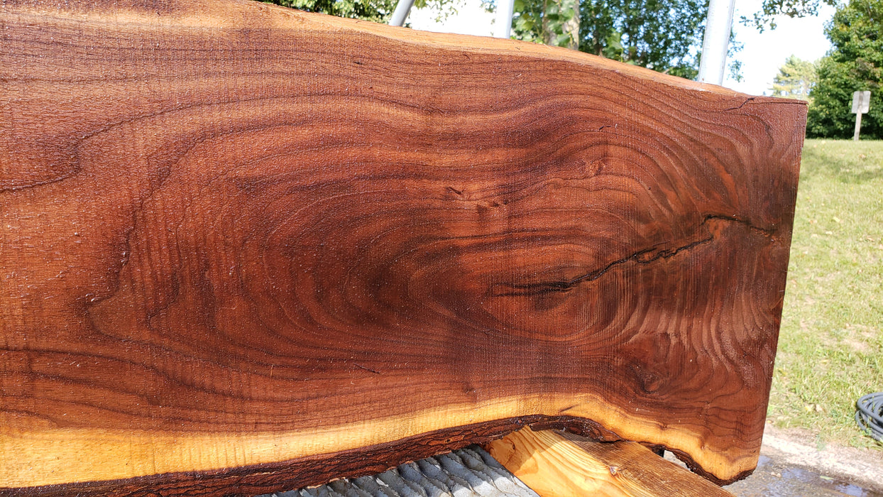 Walnut, American #8042 (LA) - 1" x 6" to 14" x 41" - FREE SHIPPING within the Contiguous US. freeshipping - Big Wood Slabs
