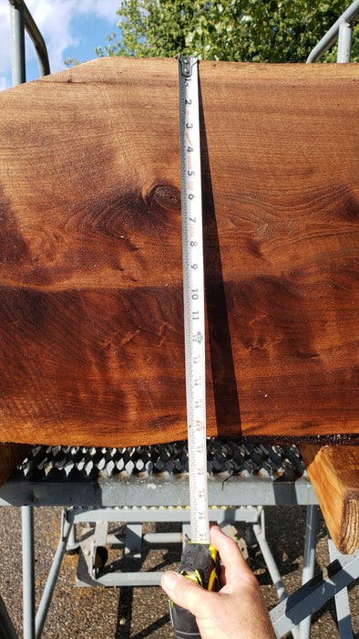 Walnut, American #8043 (LA) - 2-1/2" x 12" x 42" - FREE SHIPPING within the Contiguous US. freeshipping - Big Wood Slabs