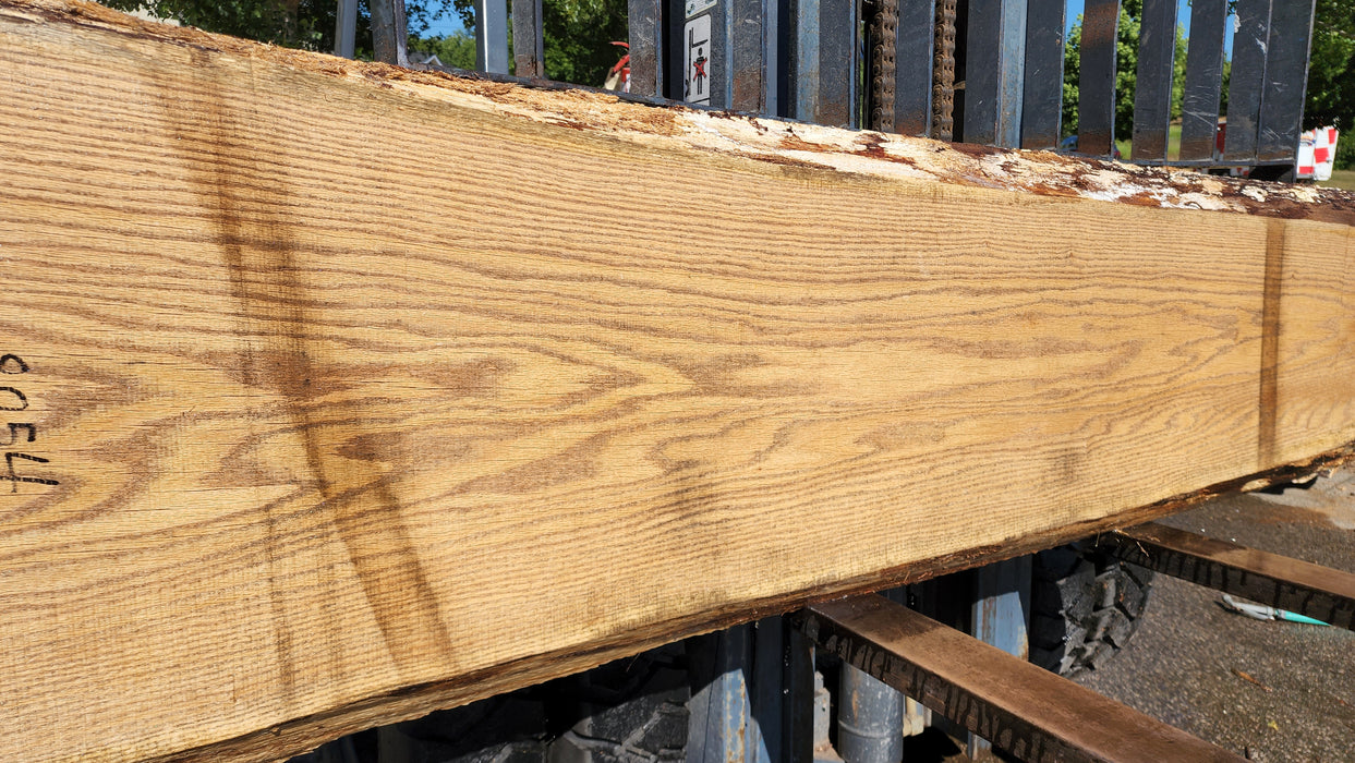 Red Oak #8054(OC) - 2-1/4" x 15" to 25" x 113" FREE SHIPPING within the Contiguous US.