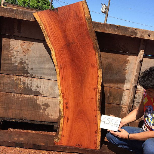 Cumaru / Brazilian Teak #4566- 2-3/4" x 18" x 55" FREE SHIPPING within the Contiguous US. freeshipping - Big Wood Slabs
