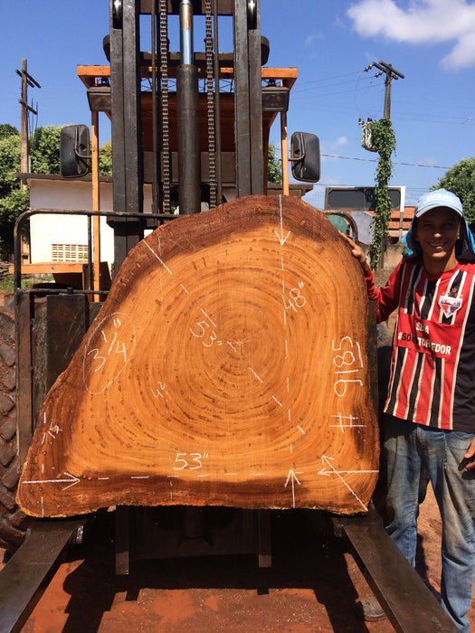Angelim Pedra #9185 - 3-1/4" x 15" to 48" x 53" FREE SHIPPING within the Contiguous US. freeshipping - Big Wood Slabs
