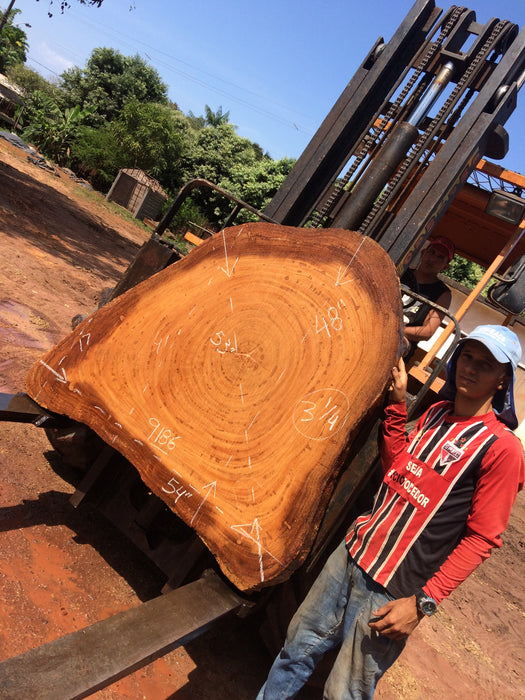 Angelim Pedra #9186 - 3-1/4" x 17" to 48" x 54" FREE SHIPPING within the Contiguous US. freeshipping - Big Wood Slabs