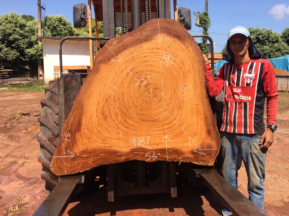 Angelim Pedra #9187 - 3" x 15" to 48" x 56" FREE SHIPPING within the Contiguous US. freeshipping - Big Wood Slabs