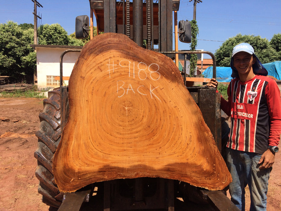 Angelim Pedra #9188 - 3-1/4" x 15" to 49" x 57" FREE SHIPPING within the Contiguous US. freeshipping - Big Wood Slabs