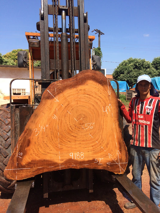 Angelim Pedra #9188 - 3-1/4" x 15" to 49" x 57" FREE SHIPPING within the Contiguous US. freeshipping - Big Wood Slabs