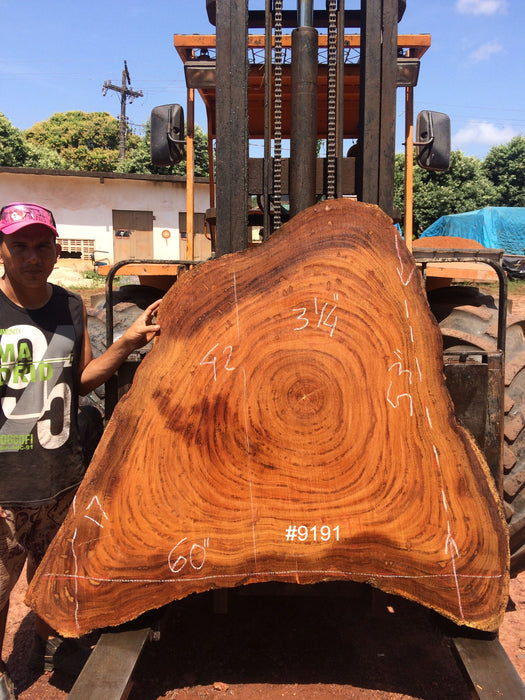 Angelim Pedra #9191 - 3-1/4" x 17" to 53" x 60" FREE SHIPPING within the Contiguous US. freeshipping - Big Wood Slabs