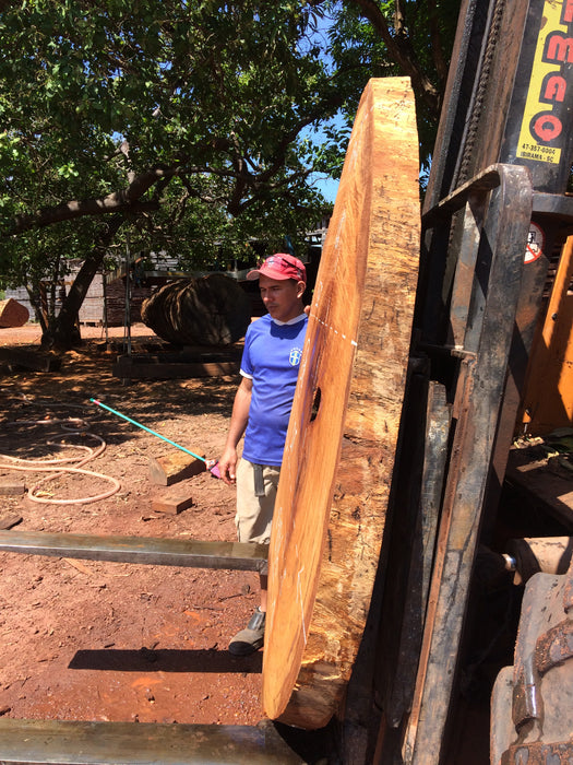 Angelim Pedra #9196 - 3-3/8" x 19" to 57" x 61" FREE SHIPPING within the Contiguous US. freeshipping - Big Wood Slabs