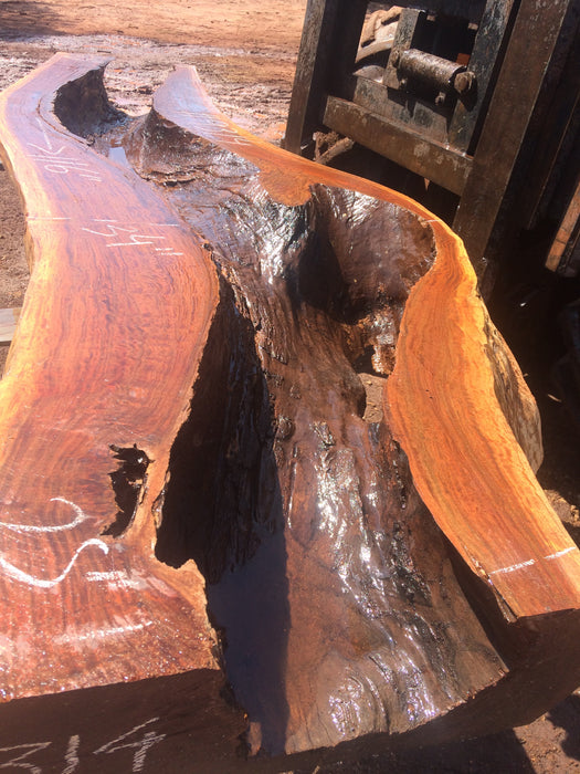 Ipe / Brazilian Walnut #9314 - 9-1/2" x 25" to 34" x 116" FREE SHIPPING within the Contiguous US. freeshipping - Big Wood Slabs
