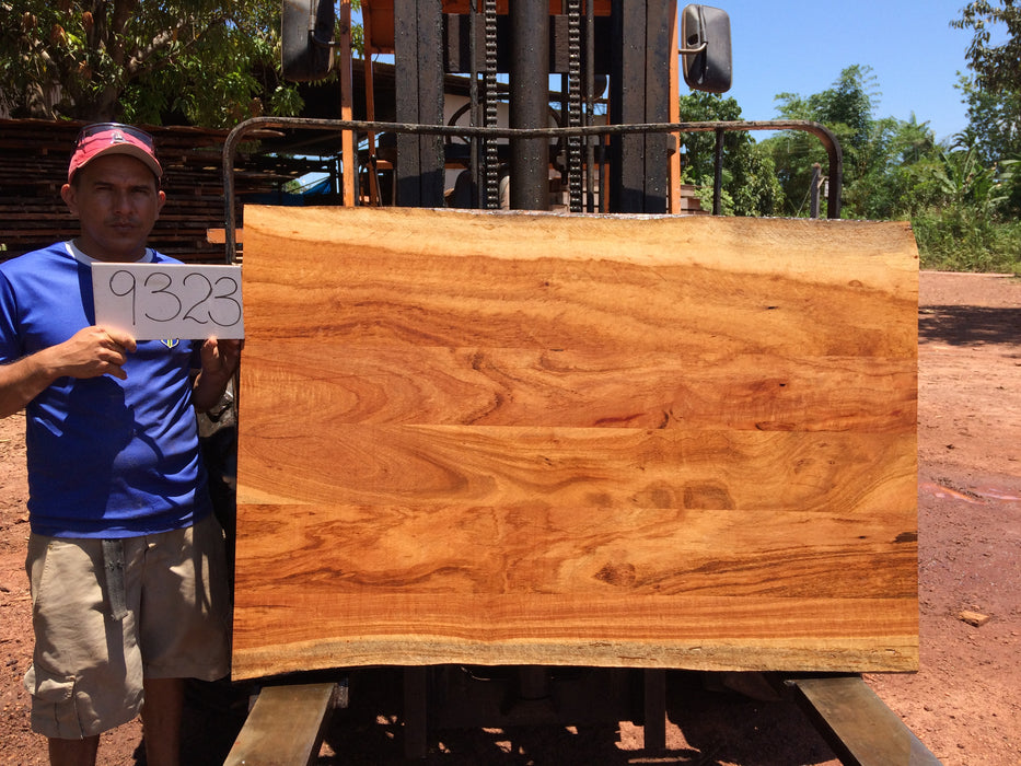 Goncalo Alves / Tigerwood #9323 - 1-3/4" x 38" to 39" x 57" FREE SHIPPING within the Contiguous US. freeshipping - Big Wood Slabs