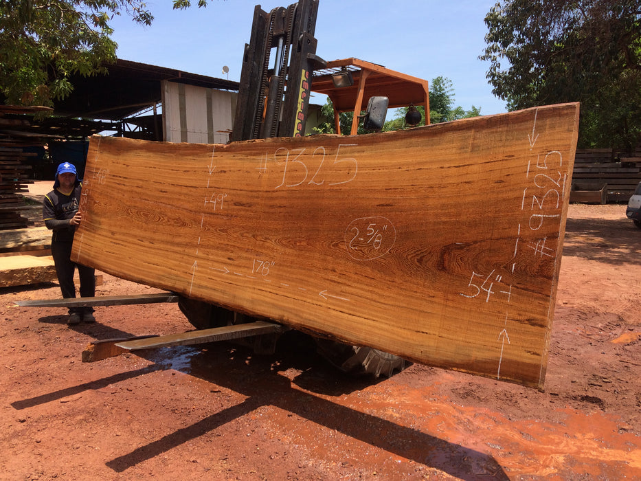 Angelim Pedra #9325 - 2-5/8" x 48" to 54" x 178" FREE SHIPPING within the Contiguous US. freeshipping - Big Wood Slabs