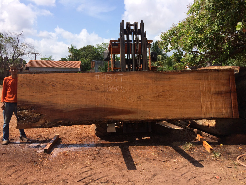 Angelim Pedra #9347 - 2-1/4" x 45" to 46" x 193" FREE SHIPPING within the Contiguous US. freeshipping - Big Wood Slabs