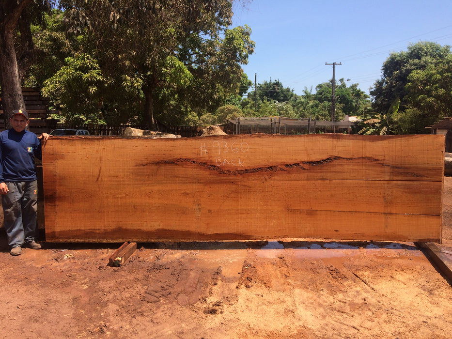 Angelim Pedra # 9360 - 2-5/8" x 50" to 51" x 189" FREE SHIPPING within the Contiguous US. freeshipping - Big Wood Slabs