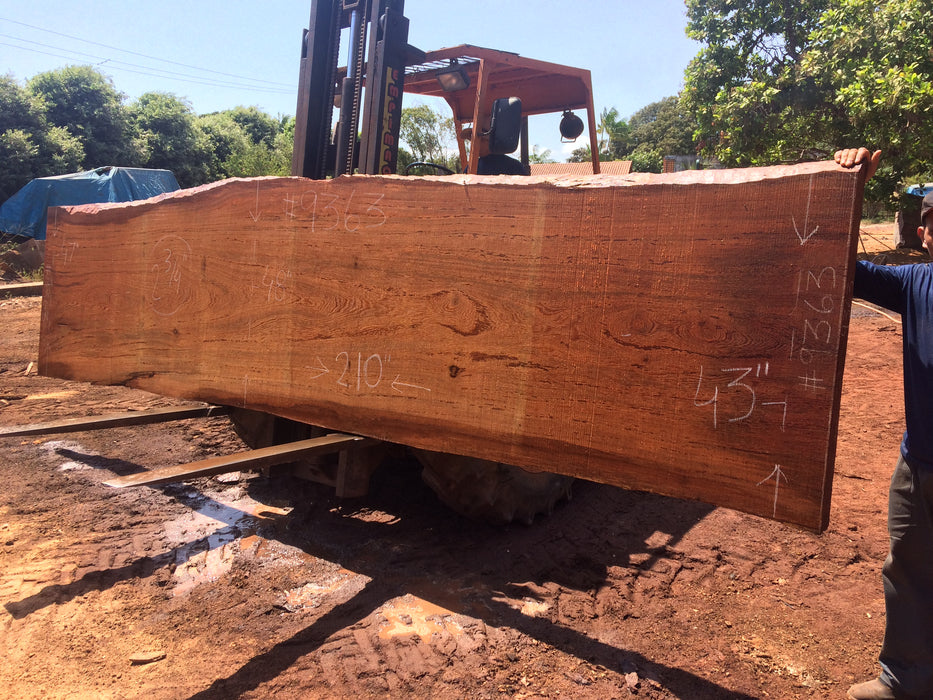 Angelim Pedra # 9363 - 2-3/4" x 43" to 48" x 210" FREE SHIPPING within the Contiguous US. freeshipping - Big Wood Slabs
