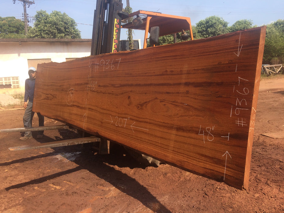 Angelim Pedra # 9367 - 2-3/4" x 45" to 48" x 207" FREE SHIPPING within the Contiguous US. freeshipping - Big Wood Slabs
