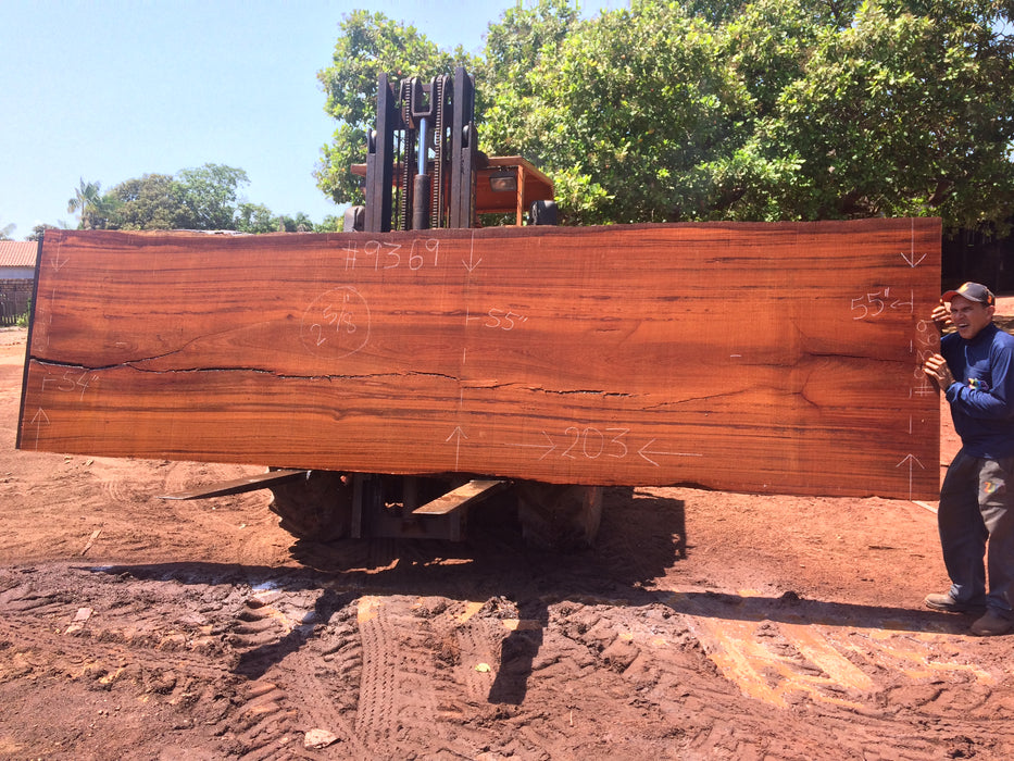 Angelim Pedra # 9369 - 2-5/8" x 54" to 55" x 203" FREE SHIPPING within the Contiguous US. freeshipping - Big Wood Slabs