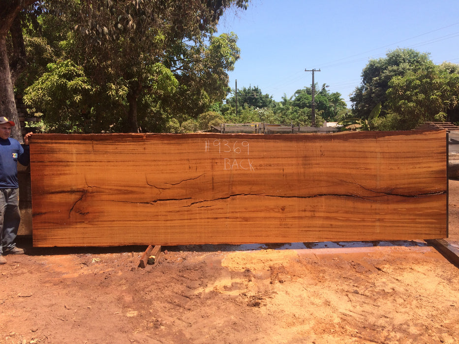 Angelim Pedra # 9369 - 2-5/8" x 54" to 55" x 203" FREE SHIPPING within the Contiguous US. freeshipping - Big Wood Slabs