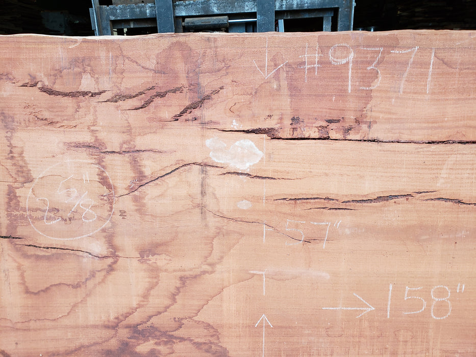 Angelim Pedra # 9371 - 2-5/8" x 52" to 57" x 158" FREE SHIPPING within the Contiguous US. freeshipping - Big Wood Slabs