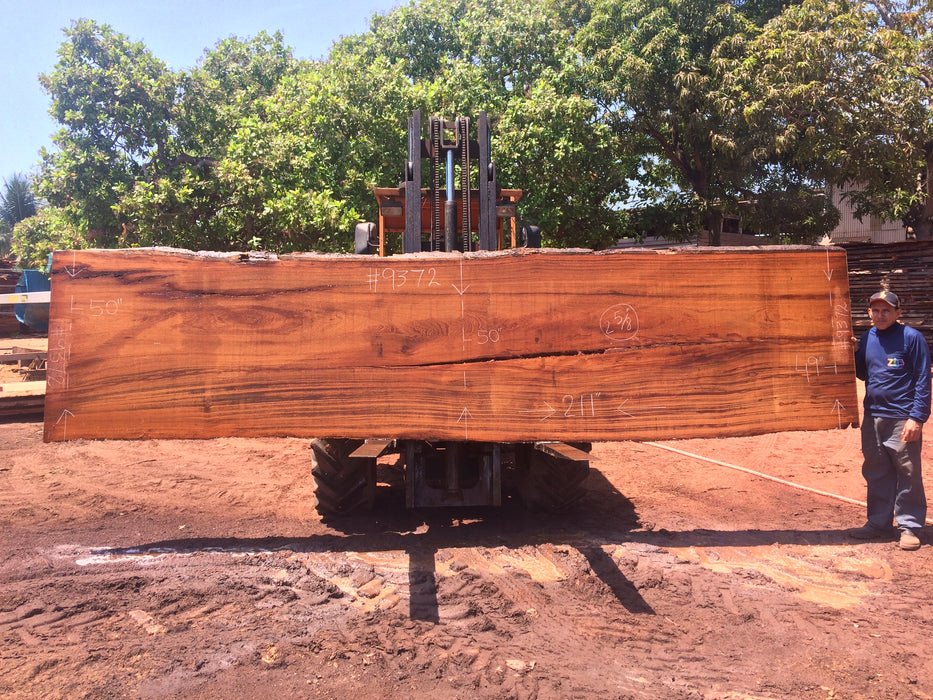 Angelim Pedra # 9372 - 2-5/8" x 49" to 50" x 211" FREE SHIPPING within the Contiguous US. freeshipping - Big Wood Slabs