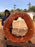 Jatoba / Brazilian Cherry # 9501 – 2-5/8 x 39″ x 40″ FREE SHIPPING within the Contiguous US. freeshipping - Big Wood Slabs