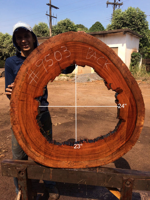 Jatoba / Brazilian Cherry # 9503 – 2-1/4 x 39″ x 41″ FREE SHIPPING within the Contiguous US. freeshipping - Big Wood Slabs