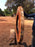 Jatoba / Brazilian Cherry # 9505 – 2-5/8 x 40″ x 40″ FREE SHIPPING within the Contiguous US. freeshipping - Big Wood Slabs