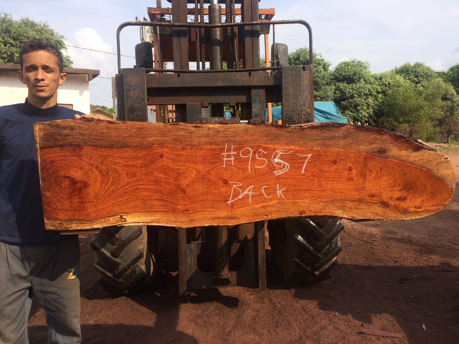 Jatoba / Brazilian Cherry # 9557 – 2-3/8" x 10" to 17" x 64″ FREE SHIPPING within the Contiguous US. freeshipping - Big Wood Slabs