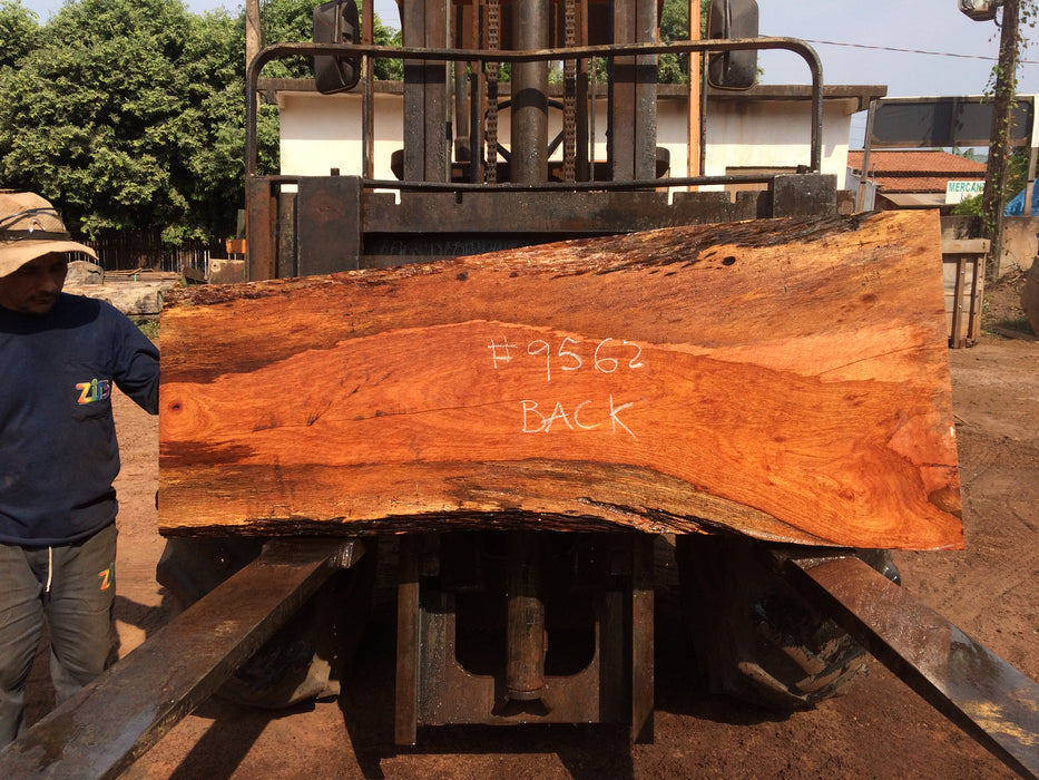 Jatoba-Brazilian Cherry – #9562 - 3-1/4″ x  22″ to 30″ x 69″ FREE SHIPPING within the Contiguous US. freeshipping - Big Wood Slabs