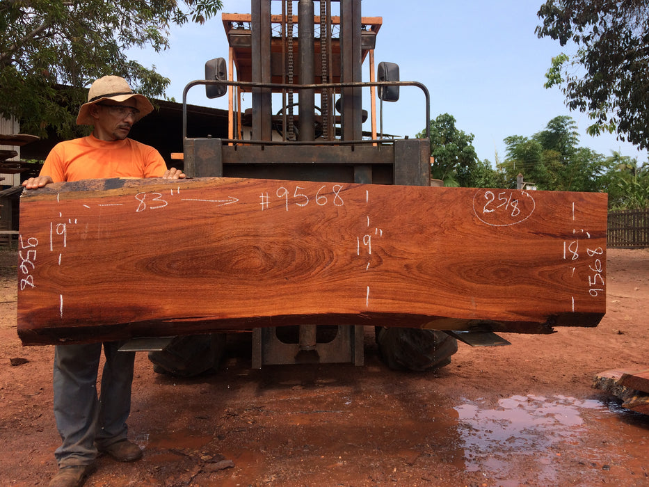 Cumaru / Brazilian Teak #9568 - 2-5/8" X 18" to 19" X 83" FREE SHIPPING within the Contiguous US. freeshipping - Big Wood Slabs