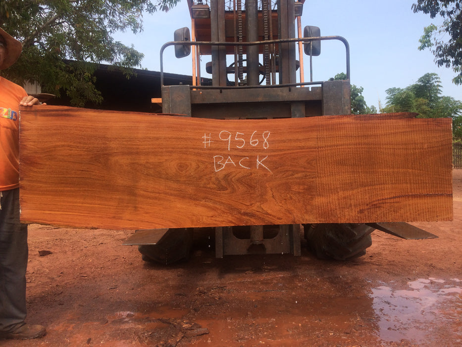 Cumaru / Brazilian Teak #9568 - 2-5/8" X 18" to 19" X 83" FREE SHIPPING within the Contiguous US. freeshipping - Big Wood Slabs