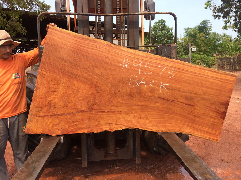 Cumaru / Brazilian Teak #9573 - 2-5/8" X 25" to 40" X 74" FREE SHIPPING within the Contiguous US. freeshipping - Big Wood Slabs