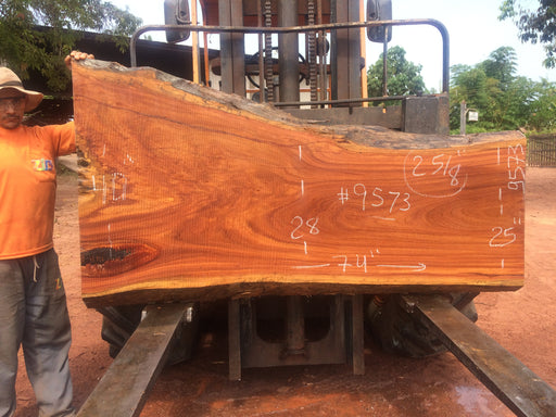 Cumaru / Brazilian Teak #9573 - 2-5/8" X 25" to 40" X 74" FREE SHIPPING within the Contiguous US. freeshipping - Big Wood Slabs