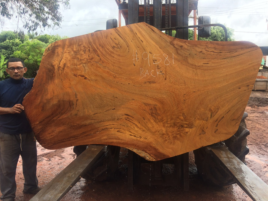 Angelim Pedra # 9581 - 2-1/4" x 36" to 54" x 94" FREE SHIPPING within the Contiguous US. freeshipping - Big Wood Slabs