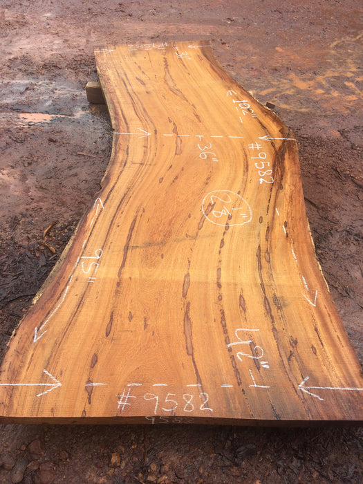 Angelim Pedra # 9582 - 2-1/4" x 31" to 42" x 102" FREE SHIPPING within the Contiguous US. freeshipping - Big Wood Slabs