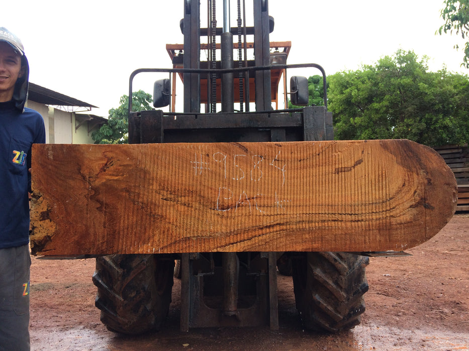 Angelim Pedra # 9584 - 2-1/4" x 16" x 63" FREE SHIPPING within the Contiguous US. freeshipping - Big Wood Slabs