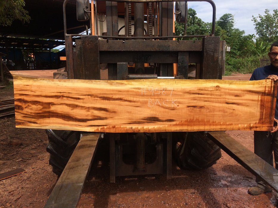 Goncalo Alves / Tigerwood #9587 - 2-1/4" x 17" to 18" x 90" FREE SHIPPING within the Contiguous US. freeshipping - Big Wood Slabs