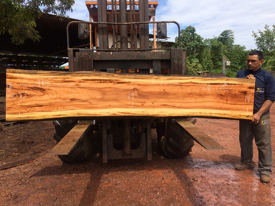 Goncalo Alves / Tigerwood #9588 - 2-1/8" x 19" to 23" x 115" FREE SHIPPING within the Contiguous US. freeshipping - Big Wood Slabs