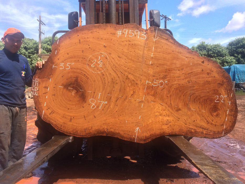 Angelim Pedra # 9593 - 2-1/2" x 22" to 50" x 87" FREE SHIPPING within the Contiguous US. freeshipping - Big Wood Slabs