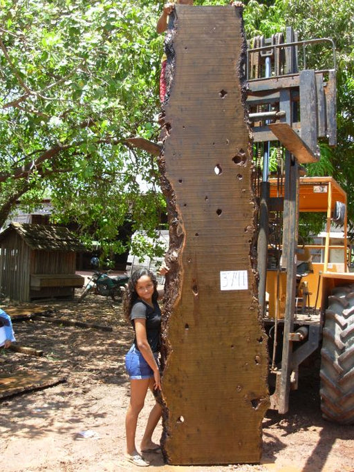 Ipe / Brazilian Walnut #3741- 2-1/4" x 25" to 36" x 149" FREE SHIPPING within the Contiguous US. freeshipping - Big Wood Slabs