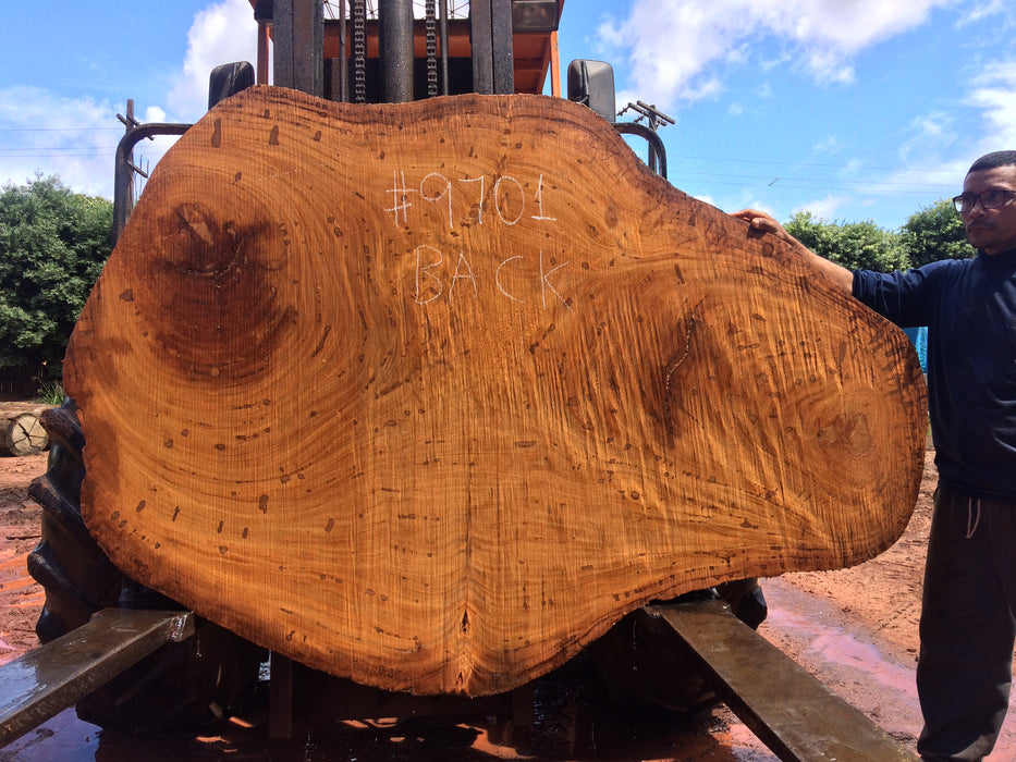 Angelim Pedra # 9701 - 2-1/2" x 21" to 56" x 78" FREE SHIPPING within the Contiguous US. freeshipping - Big Wood Slabs