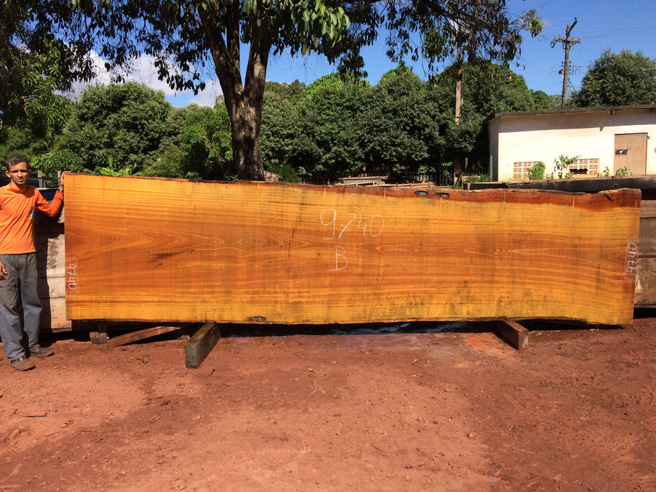 Tatajuba #9740 - 2-7/8" x 44" to 52" x 206" FREE SHIPPING within the Contiguous US. freeshipping - Big Wood Slabs