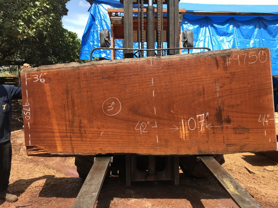 Tatajuba #9750 - 2-7/8" x 36" to 52" x 205" FREE SHIPPING within the Contiguous US. freeshipping - Big Wood Slabs
